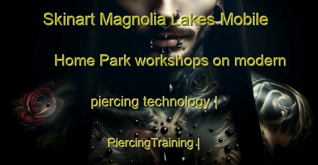 Skinart Magnolia Lakes Mobile Home Park workshops on modern piercing technology | PiercingTraining | PiercingClasses | SkinartTraining-United States